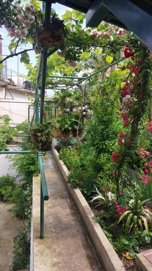 Relax Guesthouse Αργυρόκαστρο Εξωτερικό φωτογραφία